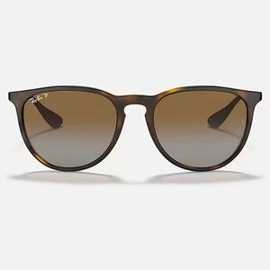 Ray-Ban Erika Classic Sunglasses